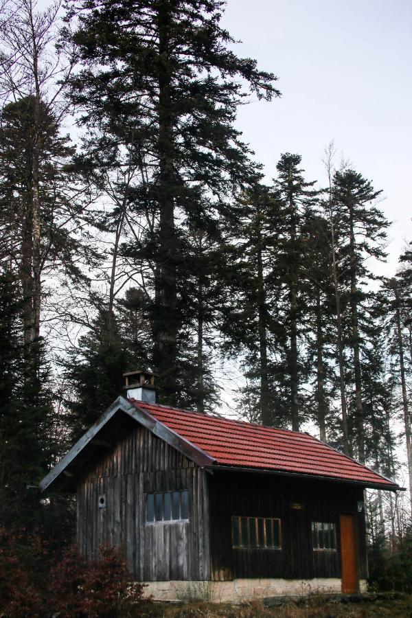 Le Refuge Des Marmottes Villa Saint-Laurent-du-Jura Dış mekan fotoğraf