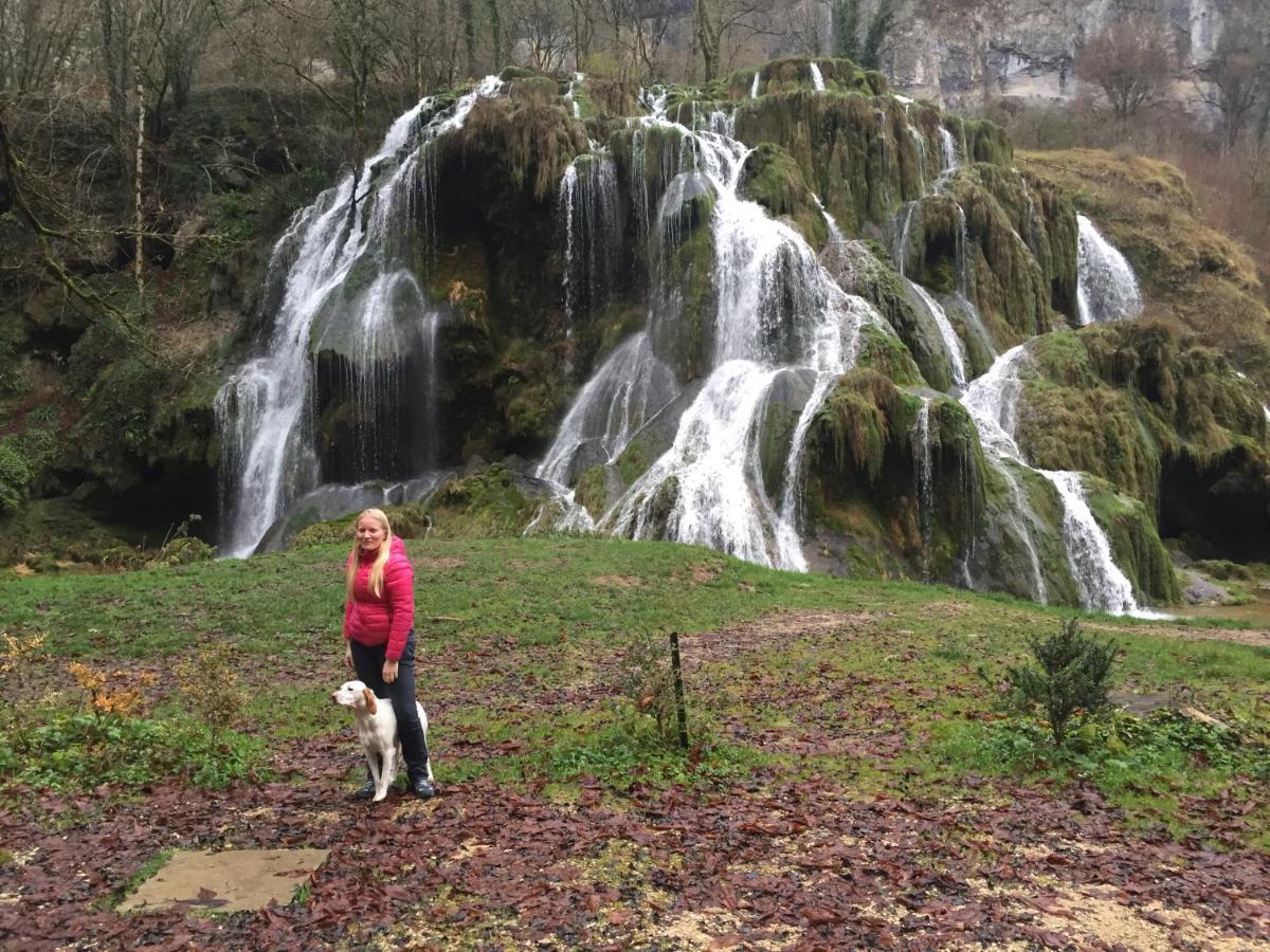 Le Refuge Des Marmottes Villa Saint-Laurent-du-Jura Dış mekan fotoğraf
