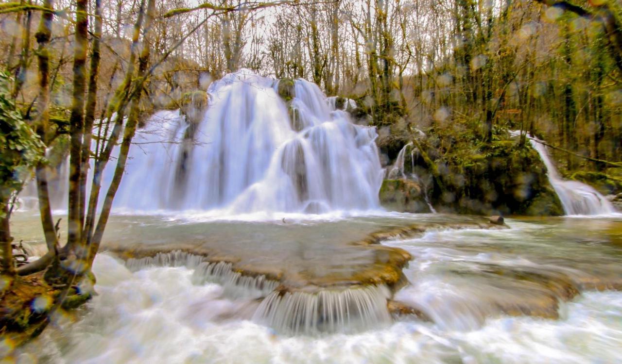 Le Refuge Des Marmottes Villa Saint-Laurent-du-Jura Dış mekan fotoğraf